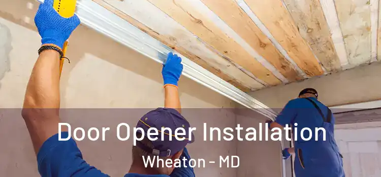  Door Opener Installation Wheaton - MD