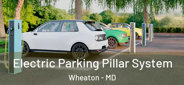  Electric Parking Pillar System Wheaton - MD