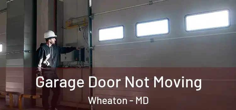  Garage Door Not Moving Wheaton - MD