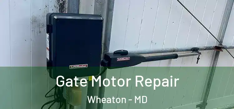 Gate Motor Repair Wheaton - MD