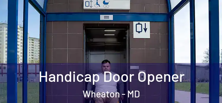 Handicap Door Opener Wheaton - MD