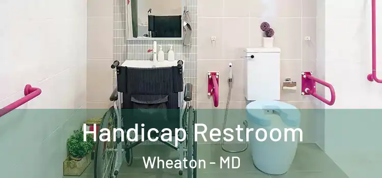  Handicap Restroom Wheaton - MD