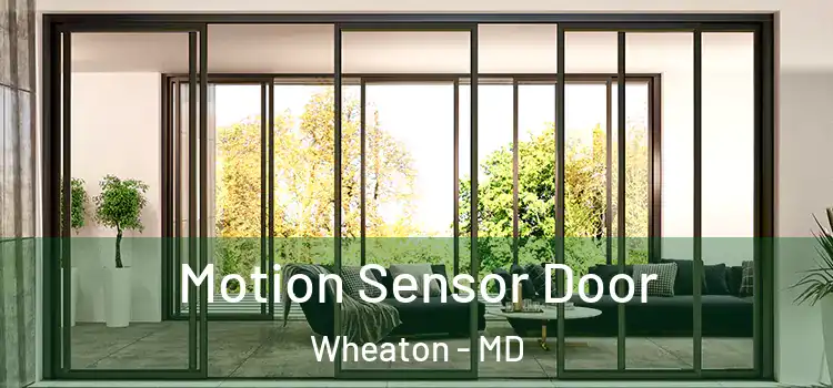 Motion Sensor Door Wheaton - MD