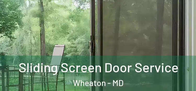 Sliding Screen Door Service Wheaton - MD